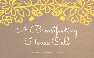 A Breastfeeding House Call